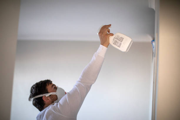 Attic Mold Removal in Honesdale, PA