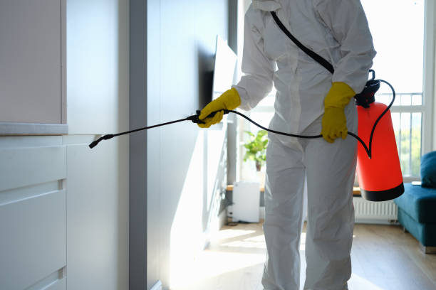 Best Attic Mold Removal  in Honesdale, PA