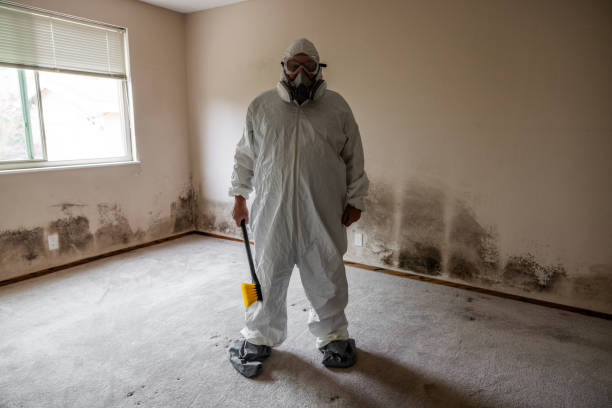 Best Mold Testing  in Honesdale, PA